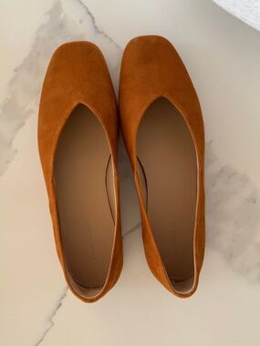 Banana Republic Women's Suede Pointed-Toe Flats in Burnt Orange